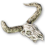 Коровий череп