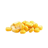 Суперкукуруза (семя)